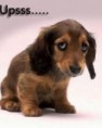 /album/mobile-wallpapers-176x220/tapety-na-mobil-zdarma-cz-176x220-1501-jpg/