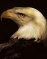 /album/mobile-wallpapers-176x220/tapety-na-mobil-zdarma-cz-176x220-1511-jpg/